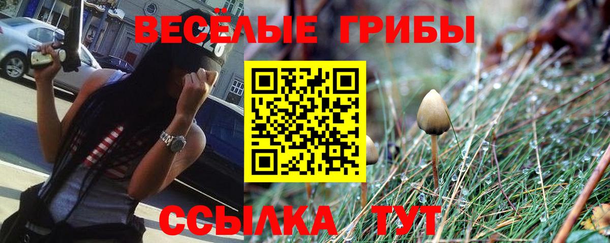Галлюциногенные грибы GOLDEN TEACHER Пушкино
