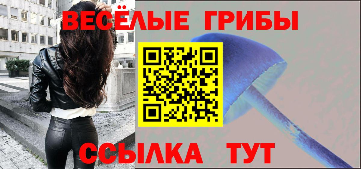 Пушкино  Псилоцибиновые грибы Psilocybine cubensis  Вход с VPN 